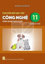 Sách giáo viên Chuyên đề học tập Công nghệ 11 - Công nghệ chăn nuôi - Kết nối tri thức 2026-2027